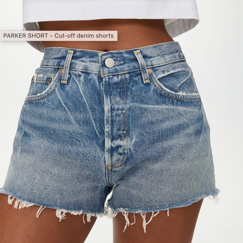 Agolde Parker Vintage Shorts in Swapmeet Dark